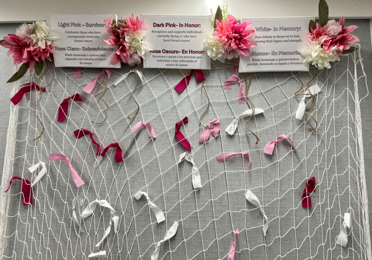 Big Pink Bus Honor Wall Travels in Tribute